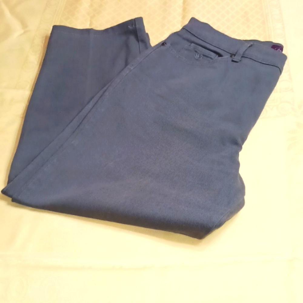 Gloria Vanderbilt Amanda Gray Jean 16 short 5 pocket button zipper closure plus